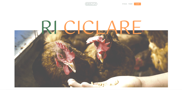 Immagine 1 del progetto Zani Davide